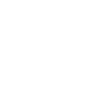 PDF Icon